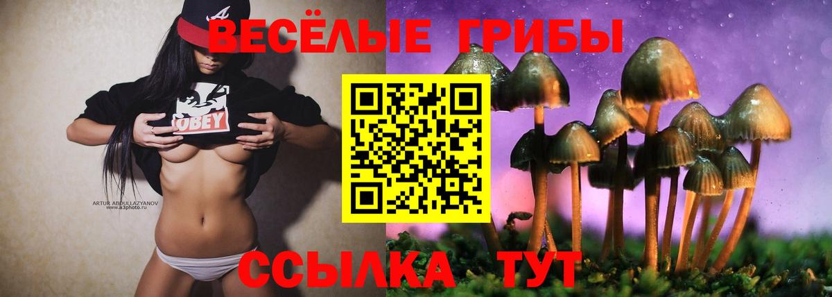 Псилоцибиновые грибы ЛСД Севастополь